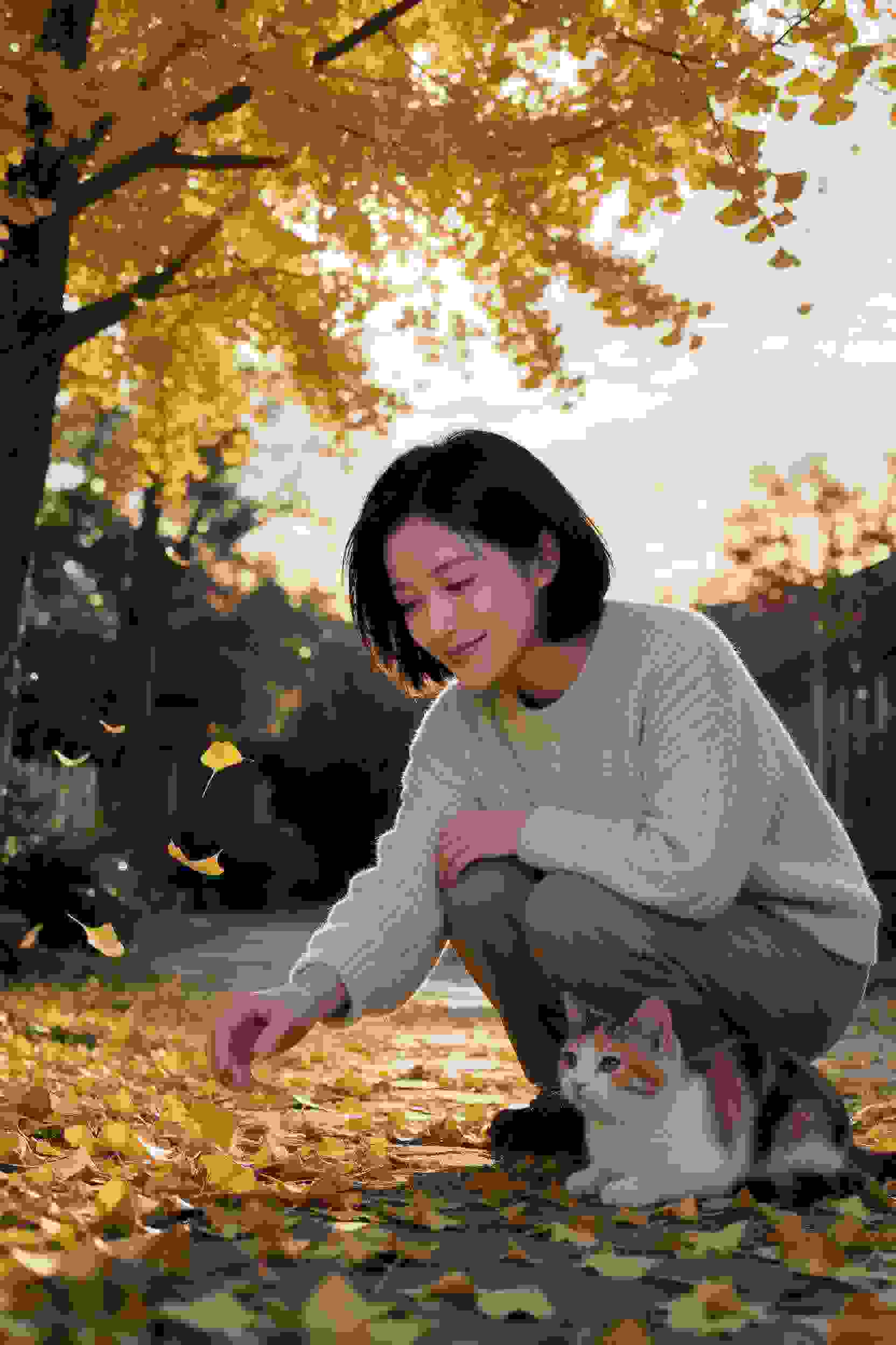 黄瓜短剧资源